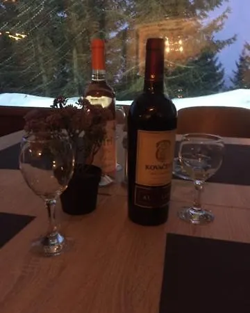 Suncani Breg 10 * Kopaonik