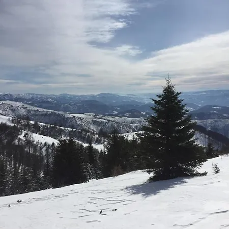 Suncani Breg 10 Lägenhet